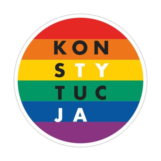 Circle PINs Variants of The Constitution Badges-58 LGBT